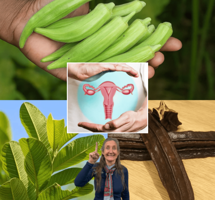 🌿 Unlock Nature’s Secrets: Boost Ovulation Naturally with Guava Leaf, Aidan Fruit, and Okra 🌿 Unlock Nature’s Secrets: Boost Ovulation Naturally with Guava Leaf, Aidan Fruit, and Okra