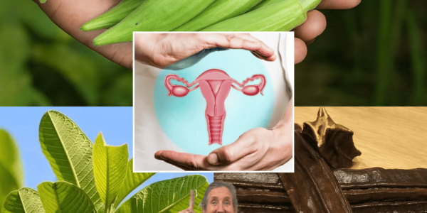 🌿 Unlock Nature’s Secrets: Boost Ovulation Naturally with Guava Leaf, Aidan Fruit, and Okra 🌿 Unlock Nature’s Secrets: Boost Ovulation Naturally with Guava Leaf, Aidan Fruit, and Okra