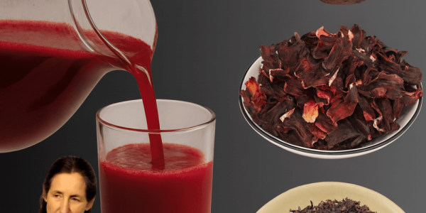 🌿 Unlock the Hidden Power of Avocado Seeds: A Game-Changing Wellness Elixir