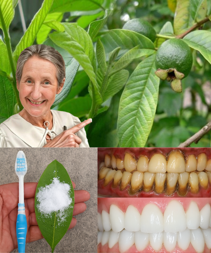 This image has an empty alt attribute; its file name is Thiet-ke-chua-co-ten-2025-09-20T085311.117-853x1024.png