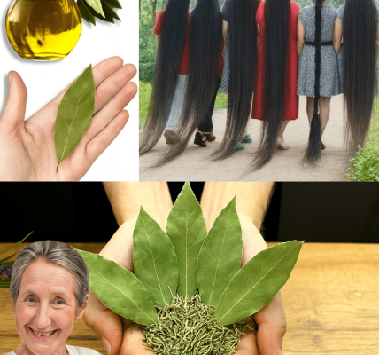🌿 Transform Your Hair with Nature’s Secret: Bay Leaf & Rosemary Oil for Thicker, Darker Locks 🌿 Transform Your Hair with Nature’s Secret: Bay Leaf & Rosemary Oil for Thicker, Darker Locks