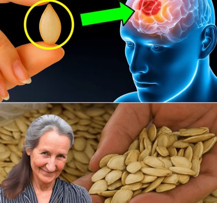 The Tiny Superfood Youâre Not Eating Enough Of: Unlock the Power of Pumpkin Seeds đą The Tiny Superfood Youâre Not Eating Enough Of: Unlock the Power of Pumpkin Seeds đą