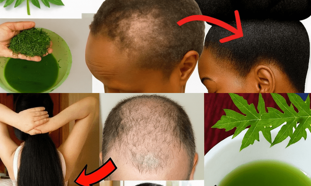 Unlock the Secret to Youthful Hair: Why Papaya Leaves Are Your New Haircare Hero šæ Unlock the Secret to Youthful Hair: Why Papaya Leaves Are Your New Haircare Hero šæ