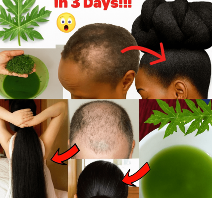 Unlock the Secret to Youthful Hair: Why Papaya Leaves Are Your New Haircare Hero 🌿 Unlock the Secret to Youthful Hair: Why Papaya Leaves Are Your New Haircare Hero 🌿