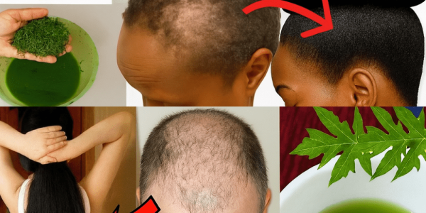 Unlock the Secret to Youthful Hair: Why Papaya Leaves Are Your New Haircare Hero 🌿 Unlock the Secret to Youthful Hair: Why Papaya Leaves Are Your New Haircare Hero 🌿