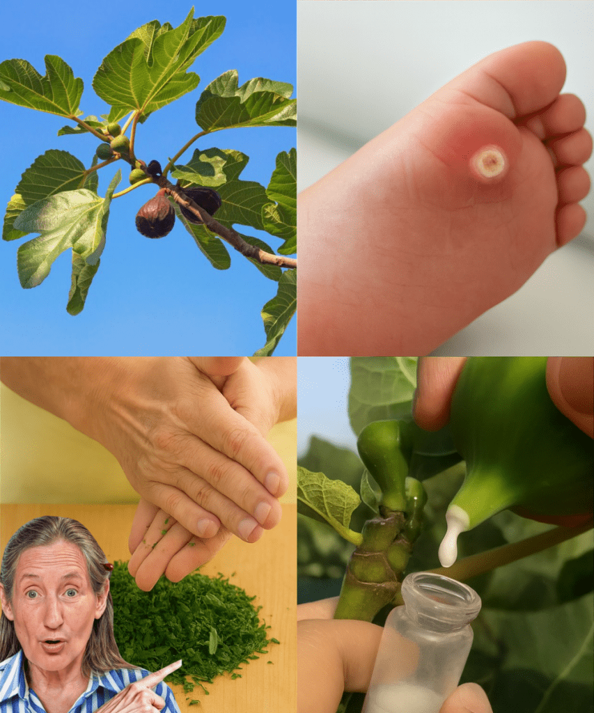 This image has an empty alt attribute; its file name is Thiet-ke-chua-co-ten-2025-09-27T101404.789-853x1024.png