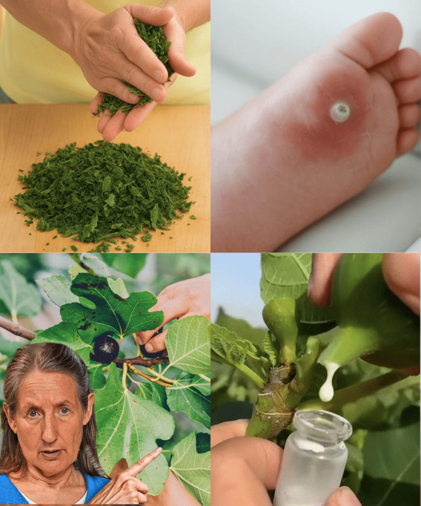 This image has an empty alt attribute; its file name is Thiet-ke-chua-co-ten-2025-09-27T101630.597-853x1024.png