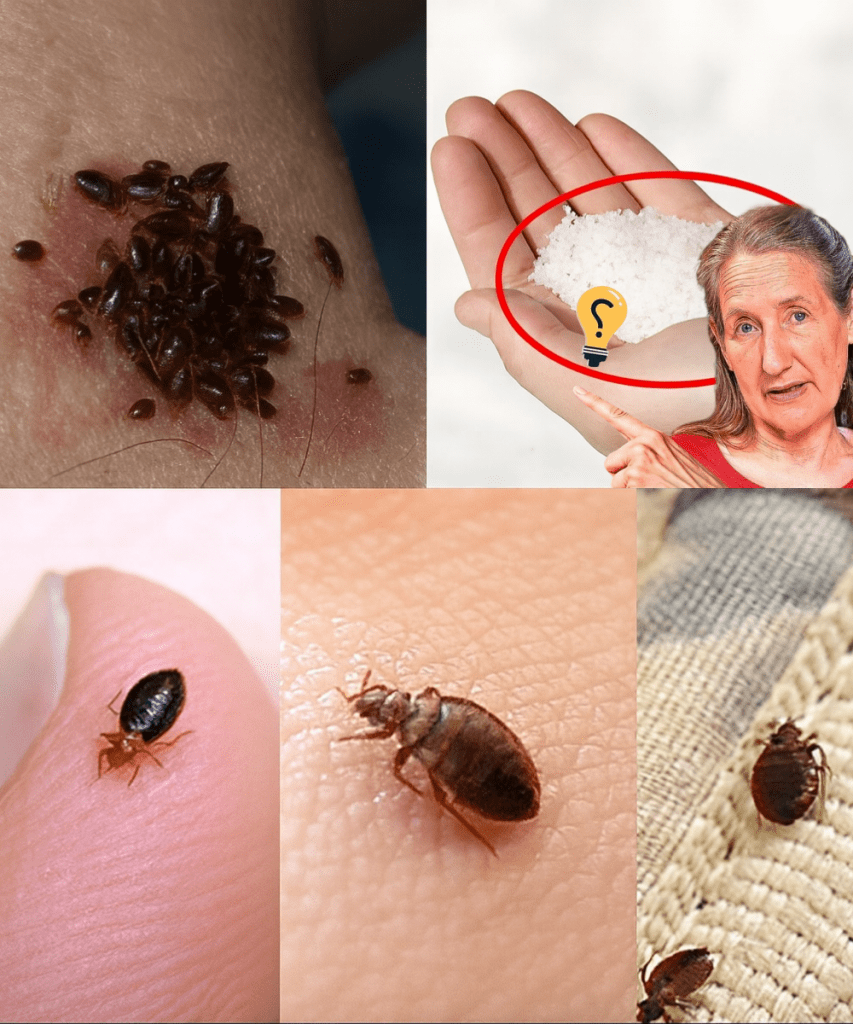 This image has an empty alt attribute; its file name is Thiet-ke-chua-co-ten-2025-09-27T113616.780-853x1024.png