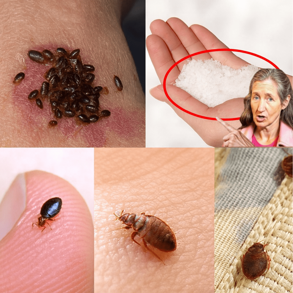 This image has an empty alt attribute; its file name is Thiet-ke-chua-co-ten-2025-09-27T113723.163.png