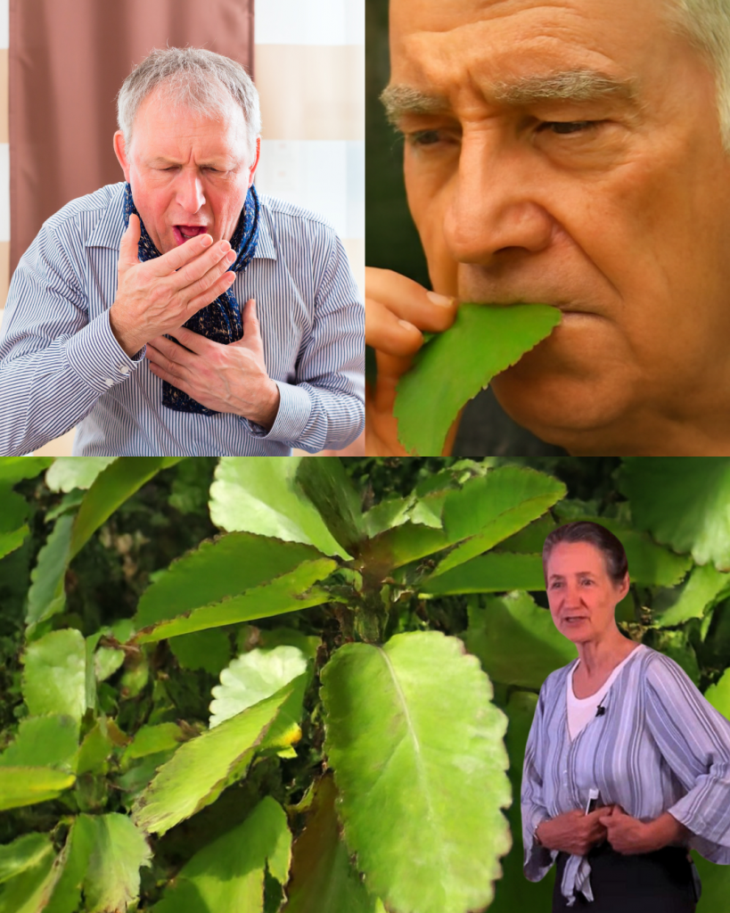 This image has an empty alt attribute; its file name is Thiet-ke-chua-co-ten-2025-09-29T162526.302-819x1024.png