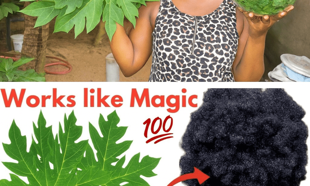 The Secret Hair Growth Elixir You’ll Wish You Tried Sooner The Secret Hair Growth Elixir You’ll Wish You Tried Sooner