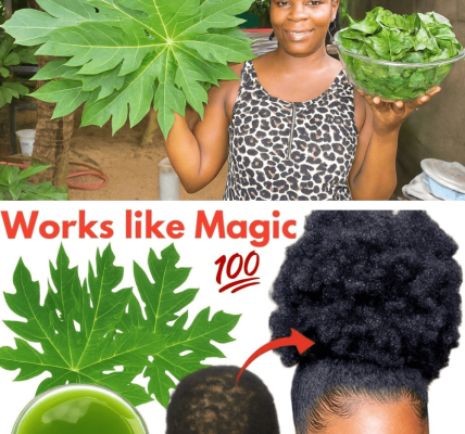 The Secret Hair Growth Elixir You’ll Wish You Tried Sooner The Secret Hair Growth Elixir You’ll Wish You Tried Sooner