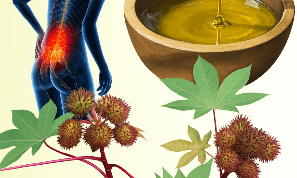 The Astonishing Healing Powers of Castor Leaves Hidden in Your Backyard The Astonishing Healing Powers of Castor Leaves Hidden in Your Backyard