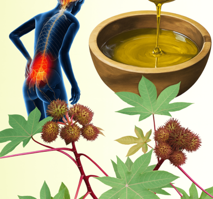 The Astonishing Healing Powers of Castor Leaves Hidden in Your Backyard The Astonishing Healing Powers of Castor Leaves Hidden in Your Backyard