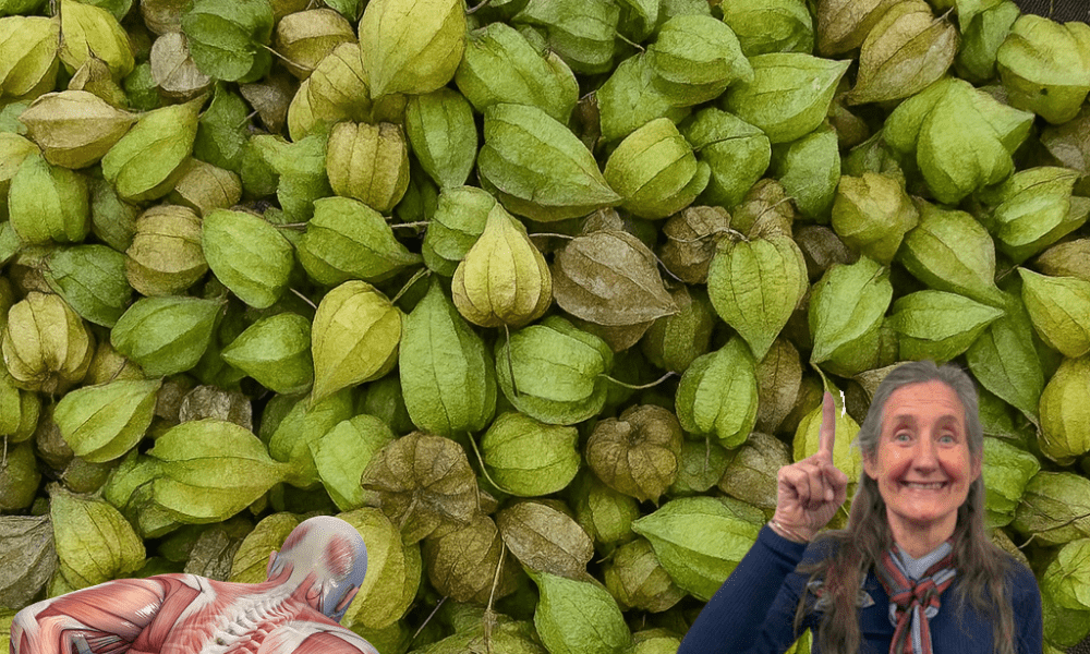 13 Ingenious Ways to Heal Your Body Naturally 🌿 13 Ingenious Ways to Heal Your Body Naturally 🌿