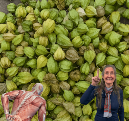 13 Ingenious Ways to Heal Your Body Naturally 🌿 13 Ingenious Ways to Heal Your Body Naturally 🌿