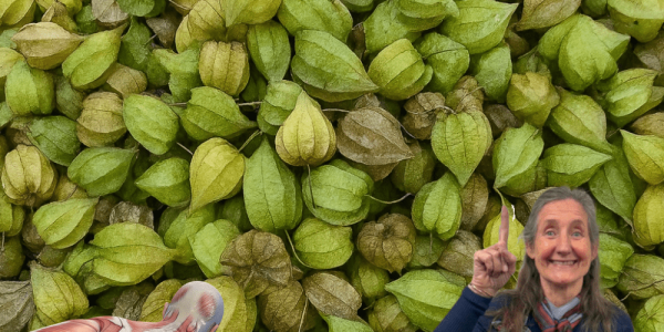 13 Ingenious Ways to Heal Your Body Naturally 🌿 13 Ingenious Ways to Heal Your Body Naturally 🌿