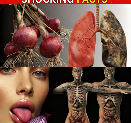 The Humble Kitchen Staple That’s Secretly a Wellness Superstar The Humble Kitchen Staple That’s Secretly a Wellness Superstar