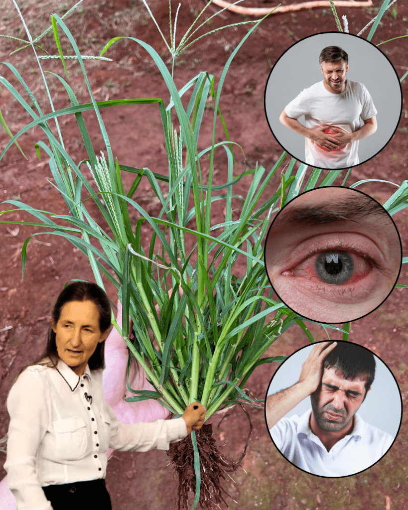 This image has an empty alt attribute; its file name is Thiet-ke-chua-co-ten-29-819x1024.png