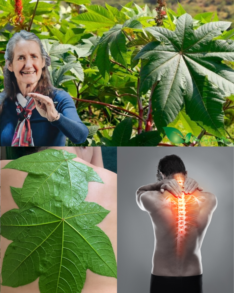 This image has an empty alt attribute; its file name is Thiet-ke-chua-co-ten-45-819x1024.png