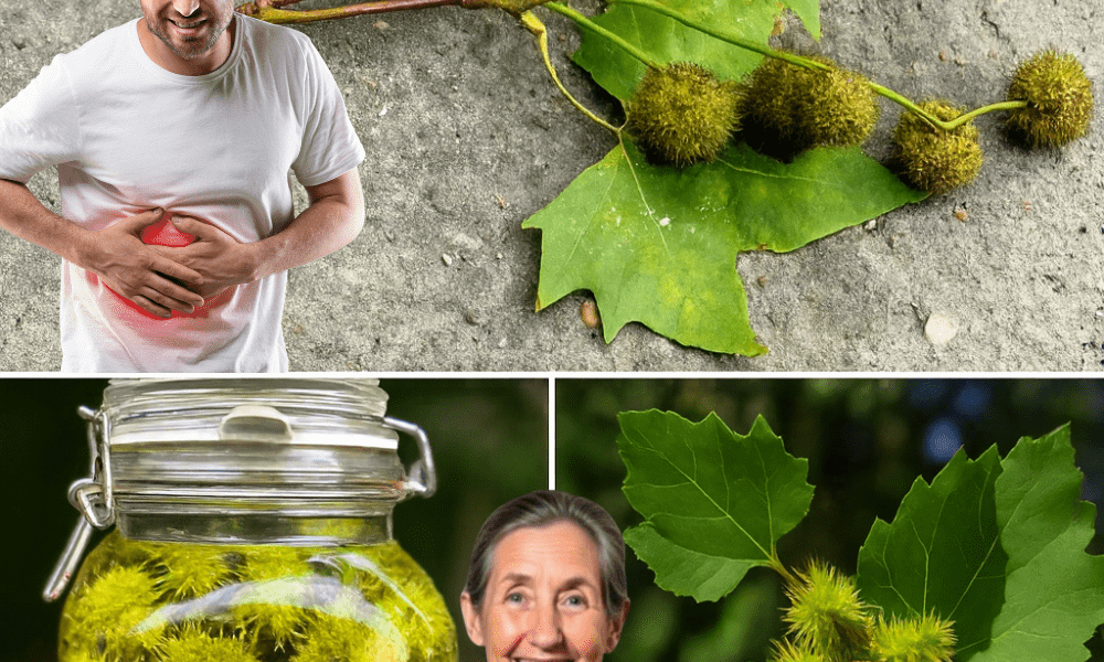 7 Astonishing Health Benefits You Need to Know 7 Astonishing Health Benefits You Need to Know