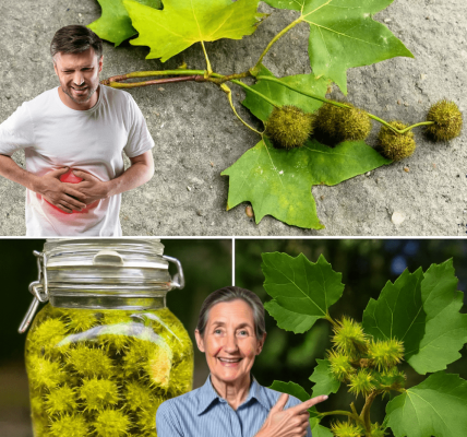 7 Astonishing Health Benefits You Need to Know 7 Astonishing Health Benefits You Need to Know