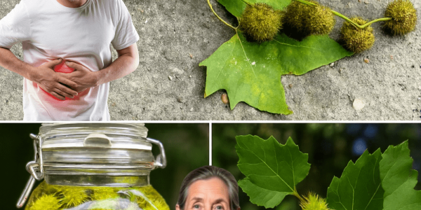 7 Astonishing Health Benefits You Need to Know