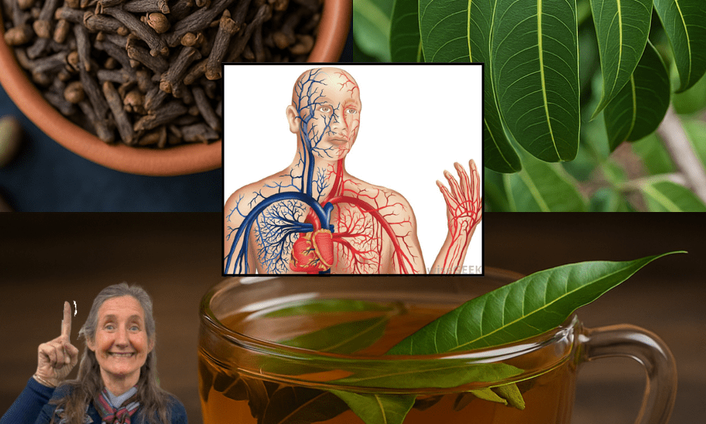 šæ Mango Leaf and Clove Tea: A Soothing Secret for Vibrant Wellness šæ Mango Leaf and Clove Tea: A Soothing Secret for Vibrant Wellness