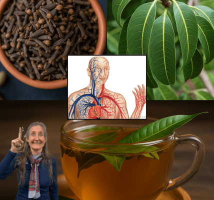 🌿 Mango Leaf and Clove Tea: A Soothing Secret for Vibrant Wellness 🌿 Mango Leaf and Clove Tea: A Soothing Secret for Vibrant Wellness