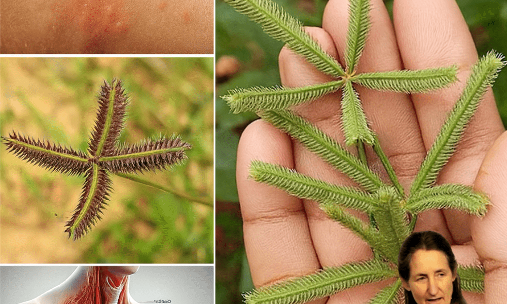 7 Life-Changing Health Benefits You Can’t Ignore 7 Life-Changing Health Benefits You Can’t Ignore