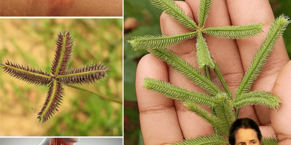 7 Life-Changing Health Benefits You Can’t Ignore 7 Life-Changing Health Benefits You Can’t Ignore