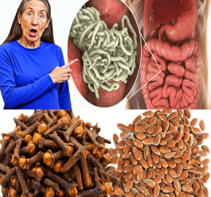 Powerful Herbal Remedies Revealed! Powerful Herbal Remedies Revealed!