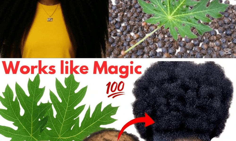 Unlock the Secret to Explosive Hair Growth with Papaya Leaves 🌿