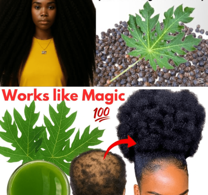 Unlock the Secret to Explosive Hair Growth with Papaya Leaves 🌿 Unlock the Secret to Explosive Hair Growth with Papaya Leaves 🌿