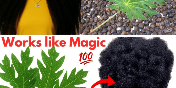 Unlock the Secret to Explosive Hair Growth with Papaya Leaves 🌿