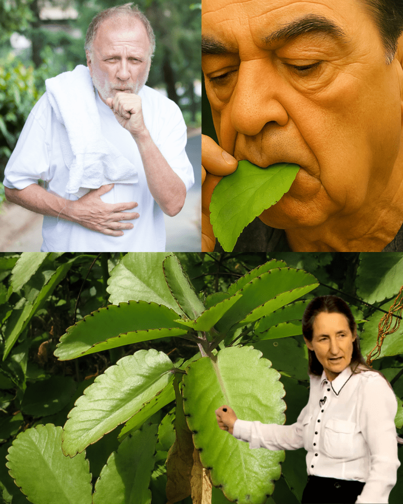 This image has an empty alt attribute; its file name is dhgvf-10-819x1024.png