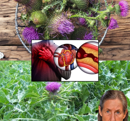 šæ The Hidden Treasure in Your Yard: Milk Thistleās Secret Health Powers Revealed šæ The Hidden Treasure in Your Yard: Milk Thistleās Secret Health Powers Revealed