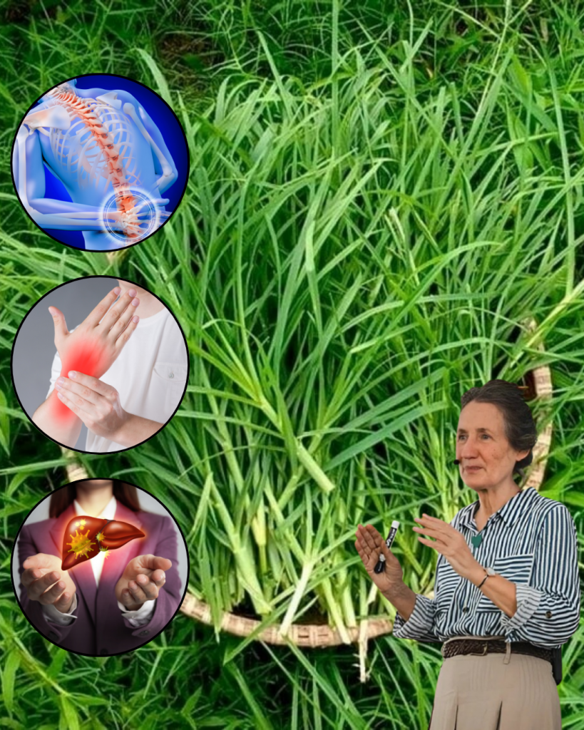 This image has an empty alt attribute; its file name is dhgvf-18-819x1024.png