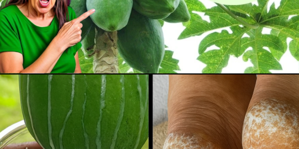 🥭 Heal Cracked Heels Fast: The Astonishing Power of Papaya Sap Revealed