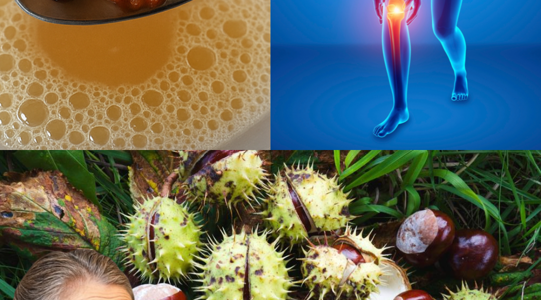 Unlock the Power of Horse Chestnut: 5 Irresistible Homemade Remedies to Boost Your Wellness 🌿 Unlock the Power of Horse Chestnut: 5 Irresistible Homemade Remedies to Boost Your Wellness 🌿