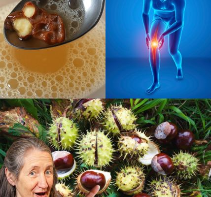 Unlock the Power of Horse Chestnut: 5 Irresistible Homemade Remedies to Boost Your Wellness 🌿 Unlock the Power of Horse Chestnut: 5 Irresistible Homemade Remedies to Boost Your Wellness 🌿
