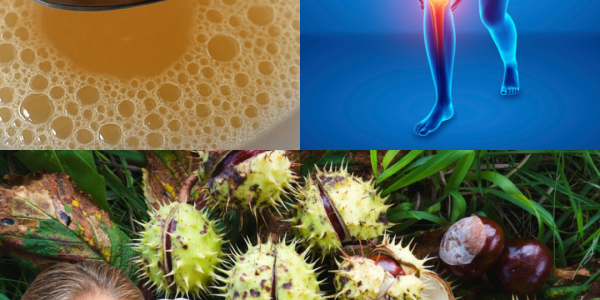 Unlock the Power of Horse Chestnut: 5 Irresistible Homemade Remedies to Boost Your Wellness 🌿