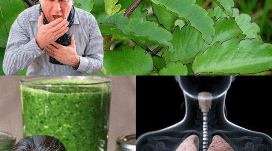 11 Astonishing Benefits You Need to Know 11 Astonishing Benefits You Need to Know