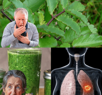 11 Astonishing Benefits You Need to Know 11 Astonishing Benefits You Need to Know