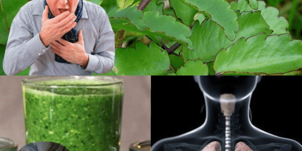 11 Astonishing Benefits You Need to Know 11 Astonishing Benefits You Need to Know