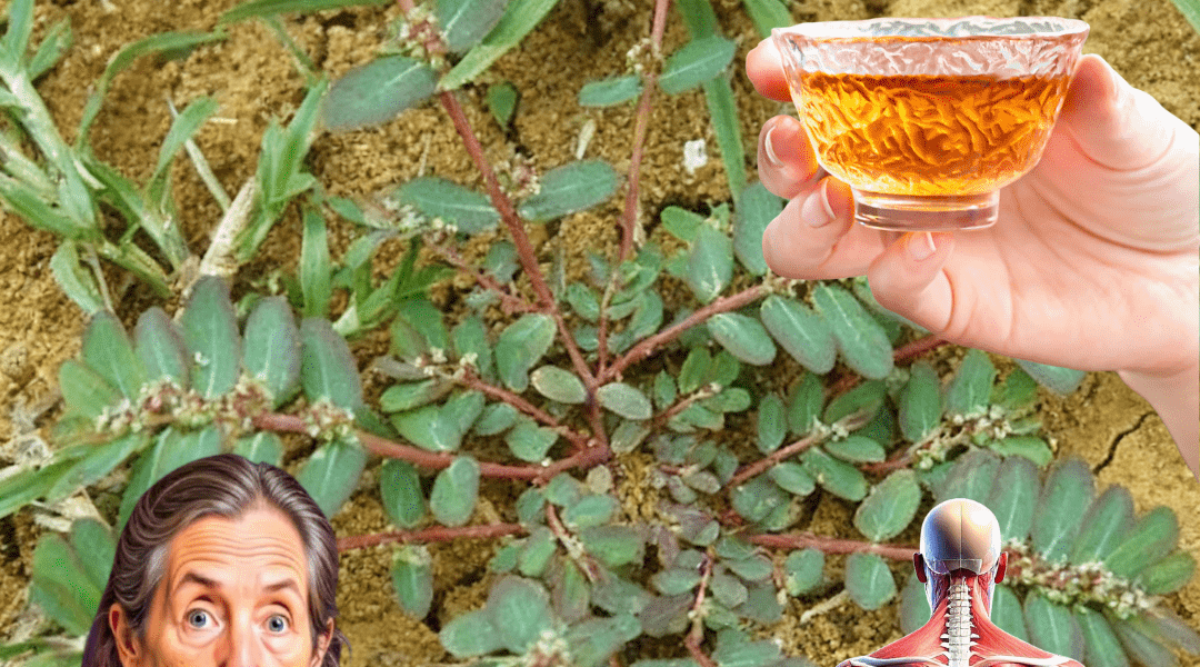 Nature’s Hidden Healer Nature’s Hidden Healer