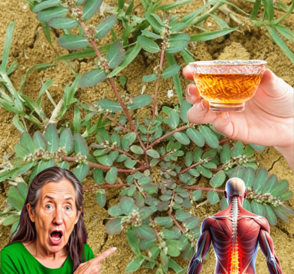 Nature’s Hidden Healer Nature’s Hidden Healer