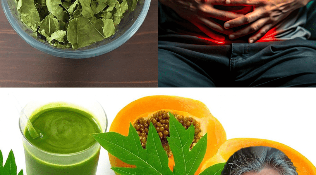 Nature’s Secret Healer for Vibrant Health Nature’s Secret Healer for Vibrant Health