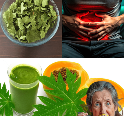 Nature’s Secret Healer for Vibrant Health Nature’s Secret Healer for Vibrant Health