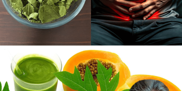 Nature’s Secret Healer for Vibrant Health